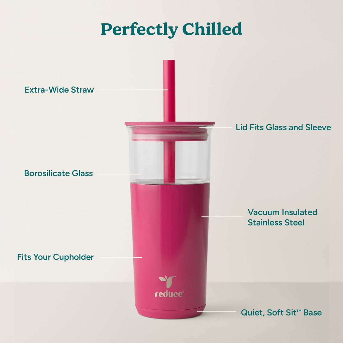 aspen-20-oz-v6 Aspen_Dragonfruit_PDP_Infographic2.jpg