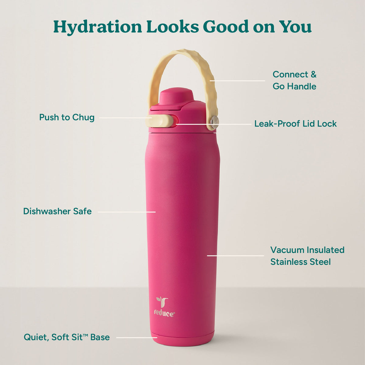 aura-26-oz-t9 Aura_26oz_DragonFruit_PDP_Infographic_2-03.jpg