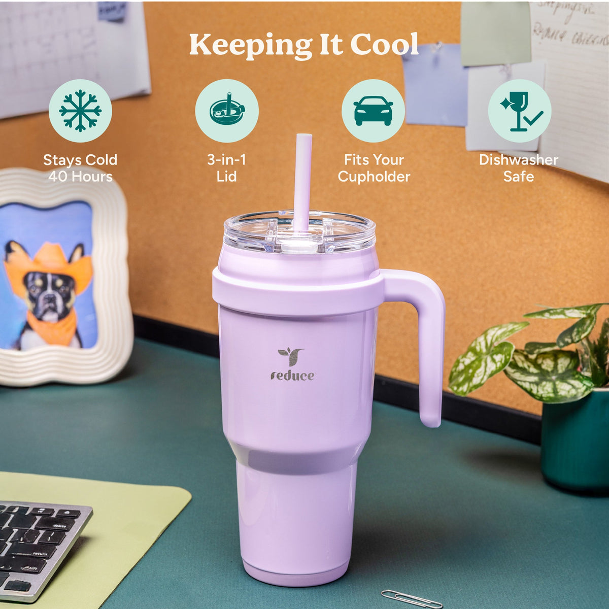 cold1-40-oz-l3 Cold1_40oz_PalmLeaf_Infographic_1.jpg