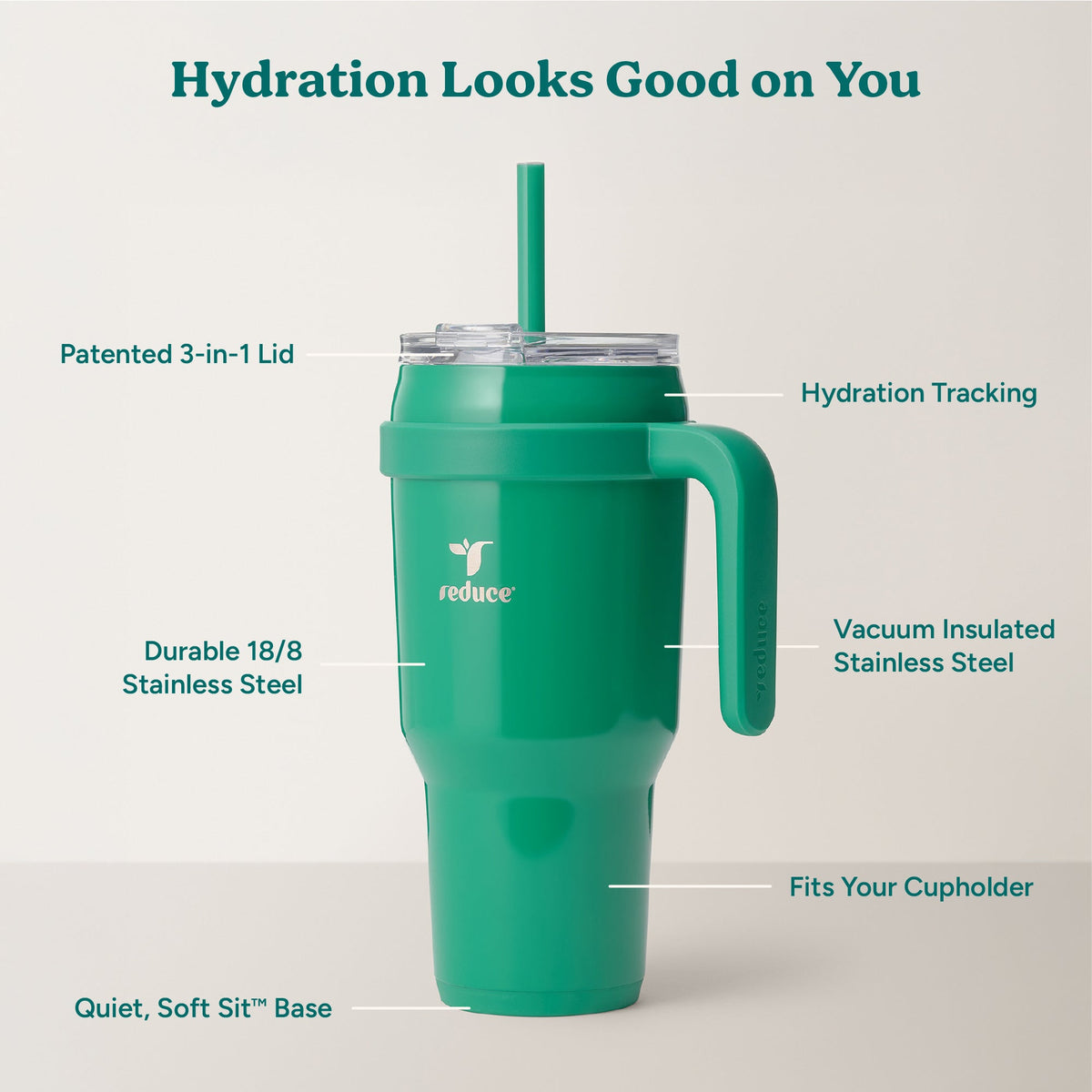 cold1-40-oz-l3 Cold1_40oz_PalmLeaf_Infographic_2.jpg