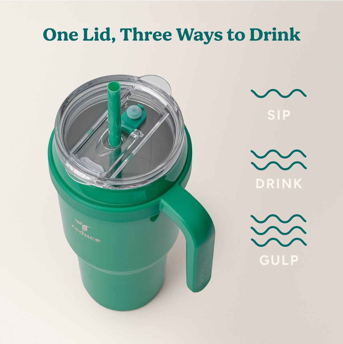 cold1-40-oz-l3 Cold1_40oz_PalmLeaf_Infographic_3.jpg